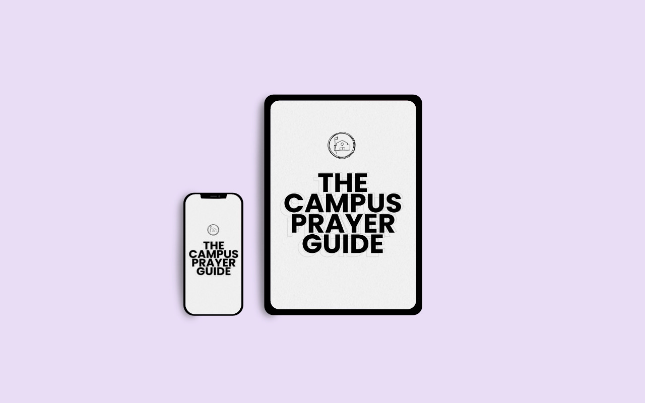 website mockup light